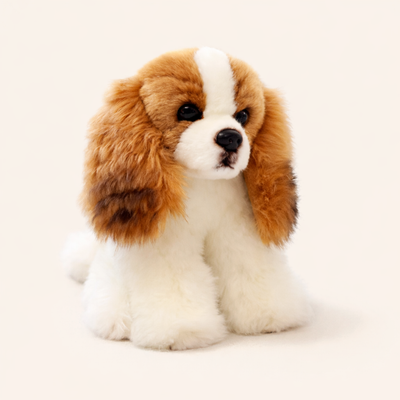 Cavalier King Charles en Peluche