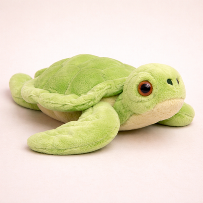 Coussin Tortue