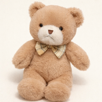 Petit Nounours en Peluche