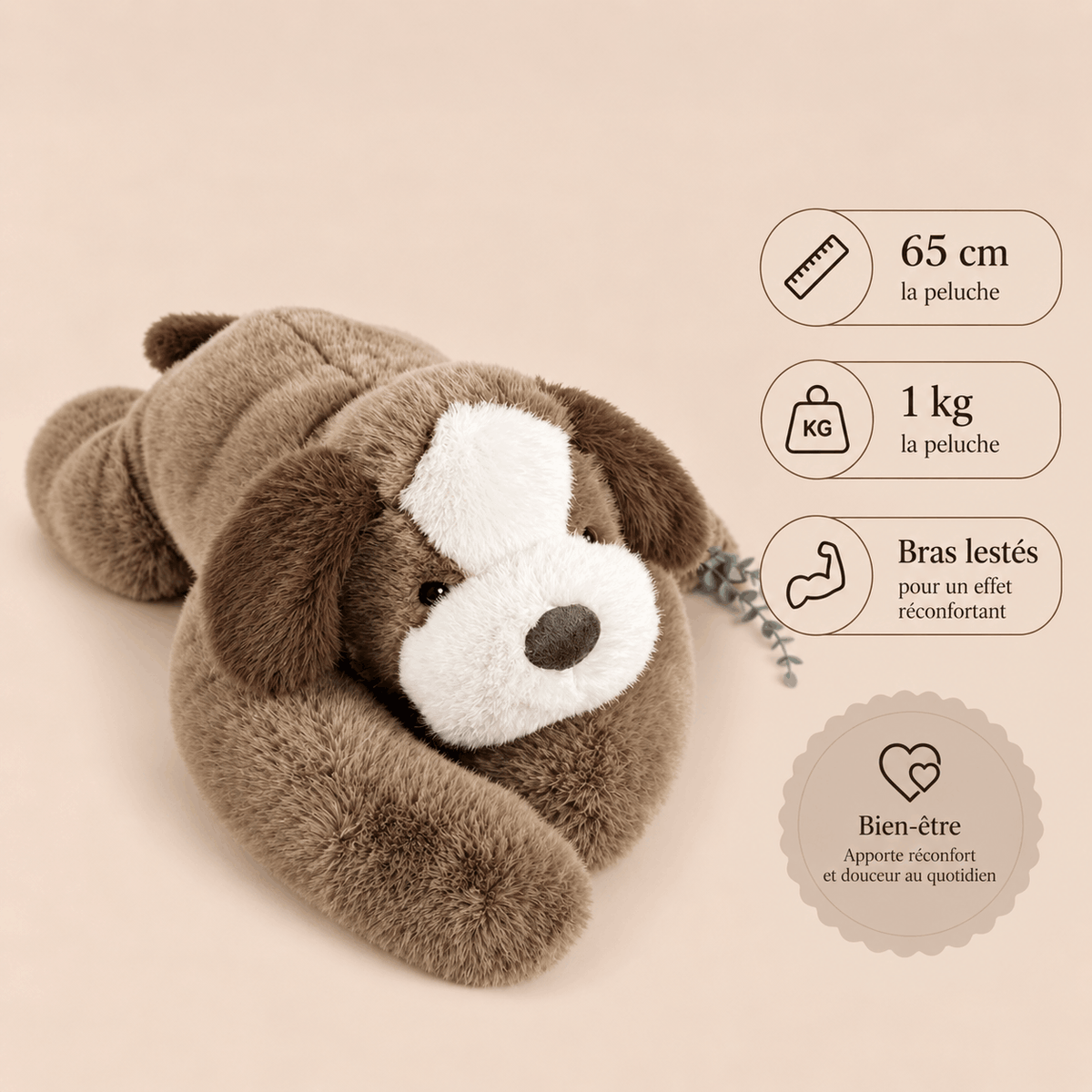 Chien Peluche Lestée