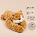 Peluche Lourde Chat Roux