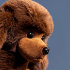 Peluche Caniche Marron - vue 4