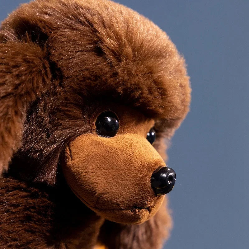 Peluche Caniche Marron - vue 4