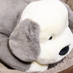 Peluche Chien Tout Doux - vue 4