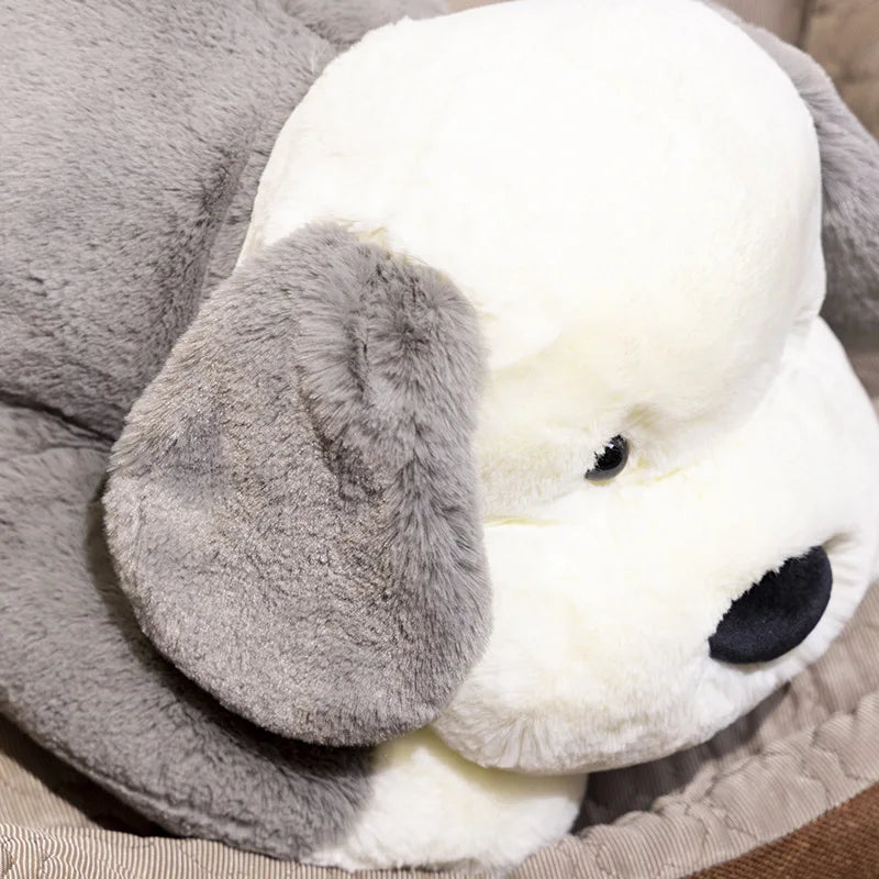 Peluche Chien Tout Doux - vue 4