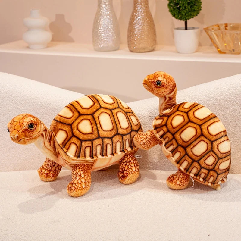Peluche Tortue Terrestre Réaliste - vue 5