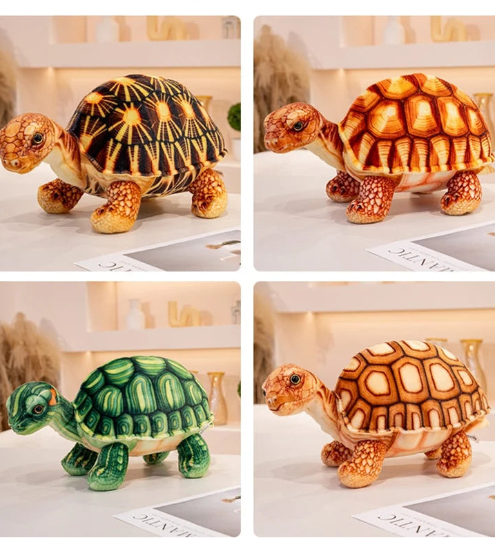 Peluche Tortue Terrestre Réaliste - vue 2