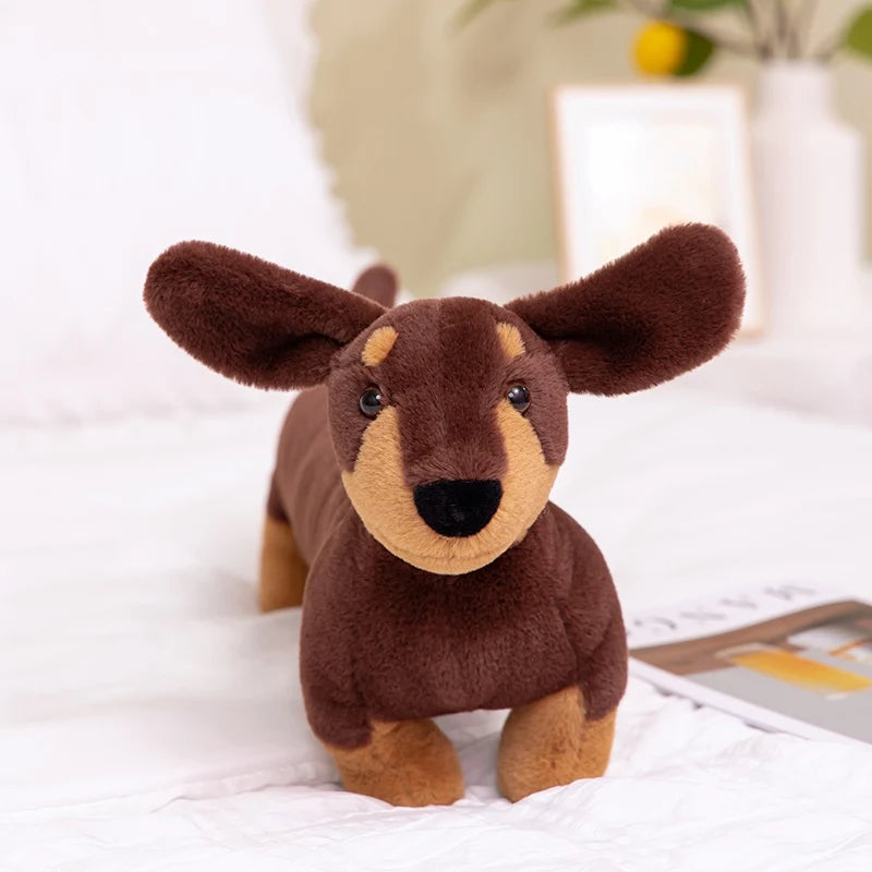 Peluche Teckel Poil Dur - vue 5
