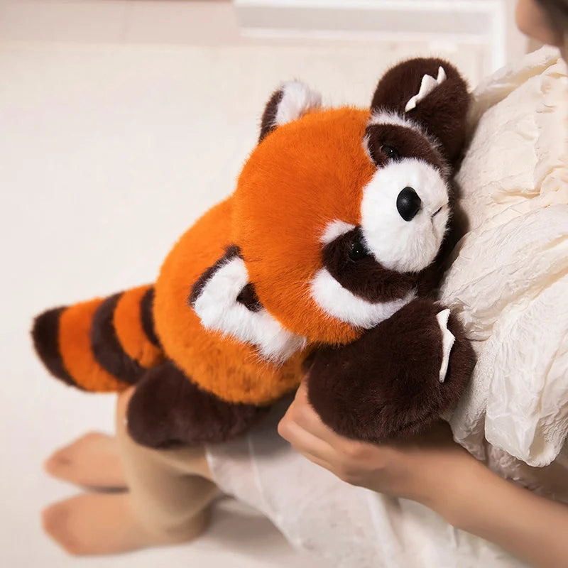 Ours En Peluche Réconfort Peluche Panda Roux : Peluche Douce Et Ours En Peluche Réconfort Peluche Panda Roux : Peluche Douce Et