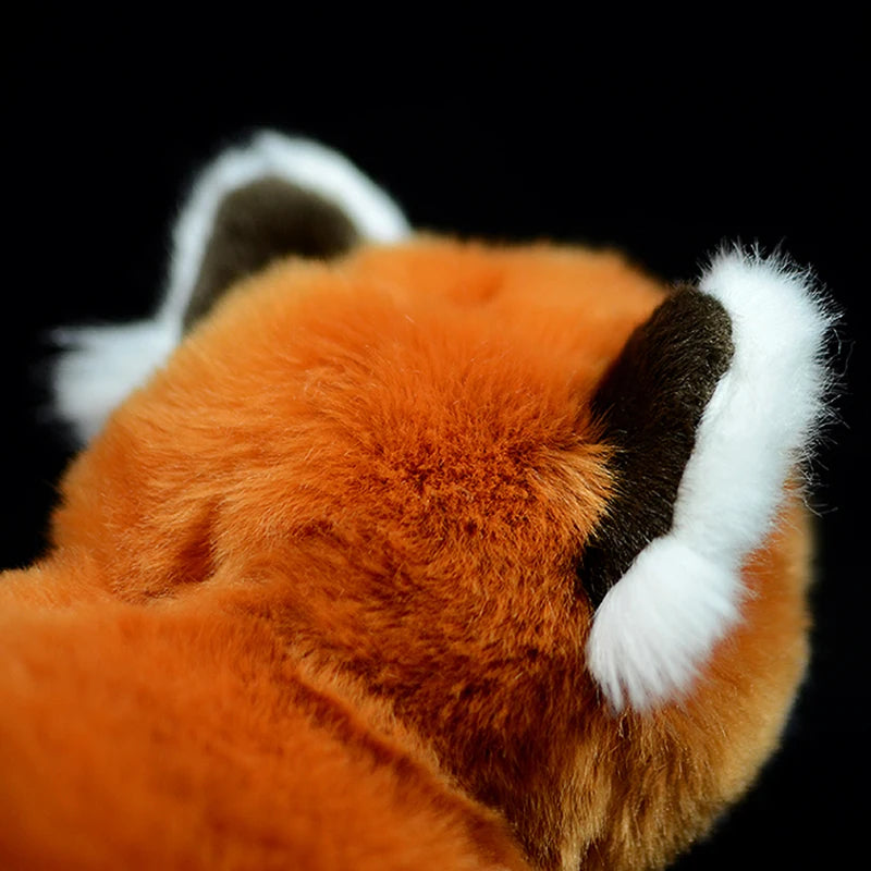 Peluche Panda Roux Réaliste - vue 5