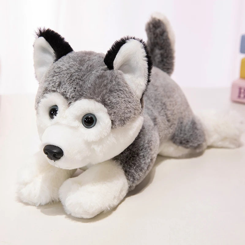 Doudou Husky - vue 2