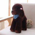 Peluche Caniche - vue 4