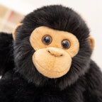 Peluche Chimpanzé - vue 5
