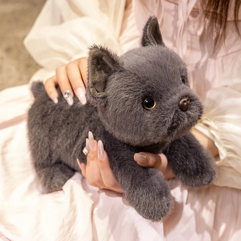 Doudou Bulldog - vue 4