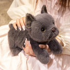 Doudou Bulldog - vue 4