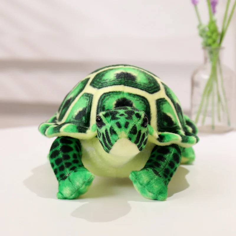 Peluche Tortue de Terre - Verte - vue 5