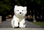 Peluche Renard Arctique - vue 5