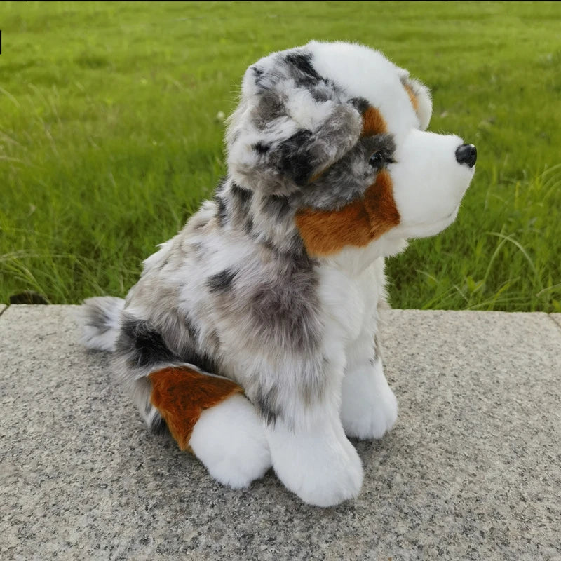 Peluche Berger Australien - vue 5