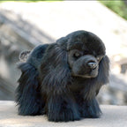 Peluche Cavalier King Charles Noir - vue 7