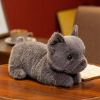 Doudou Bulldog - vue 9