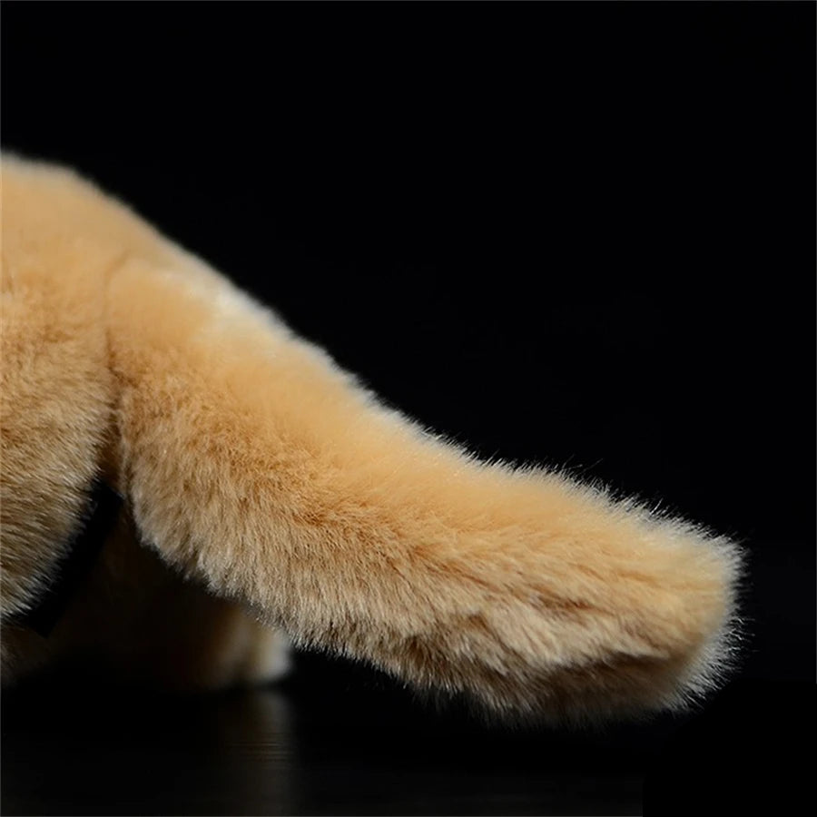 Petite Lionne Peluche - vue 6