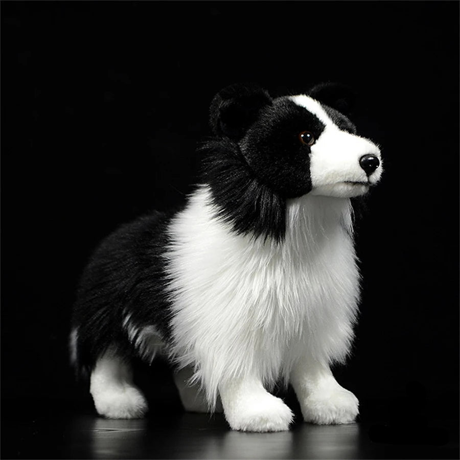 Peluche Border Collie Noir - vue 2