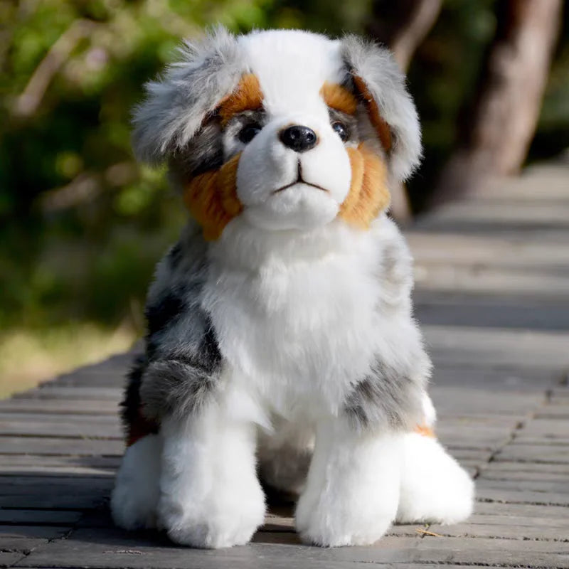 Peluche Berger Australien Tricolore - vue 2