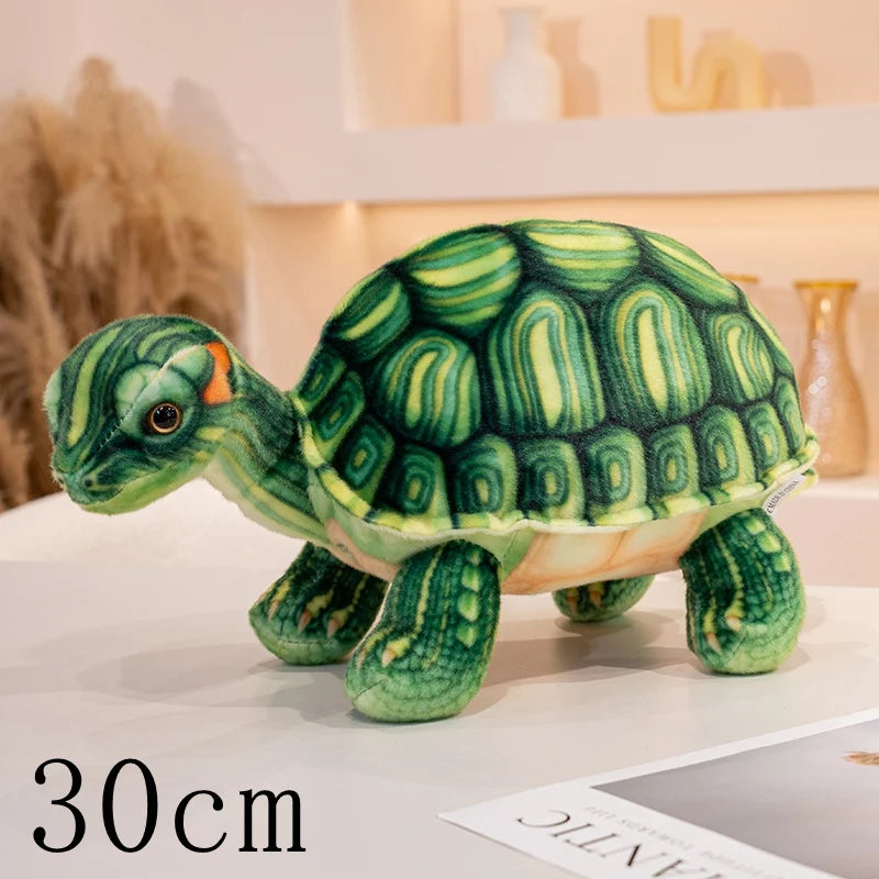 Peluche Tortue Terrestre Réaliste - vue 8