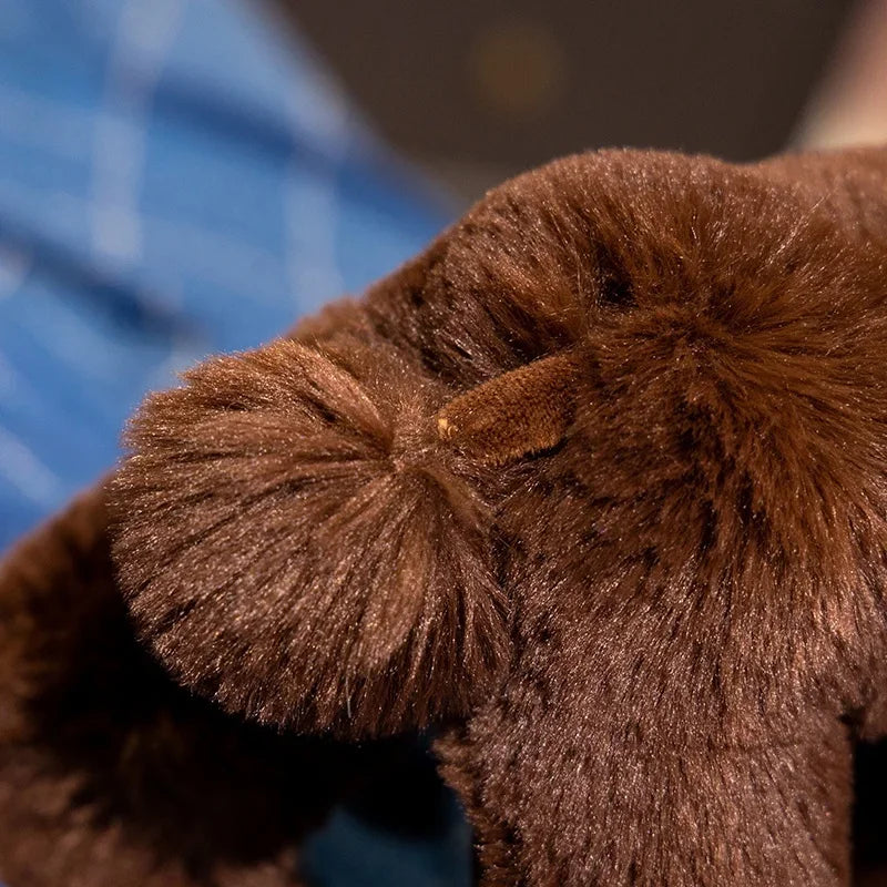 Peluche Caniche Marron - vue 6