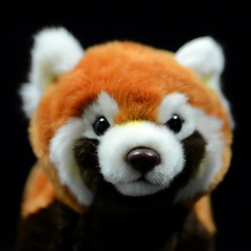 Peluche Panda Roux Réaliste - vue 6