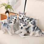 Peluche Husky Pas Cher - vue 6