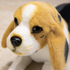 Peluche Beagle Réaliste - vue 4