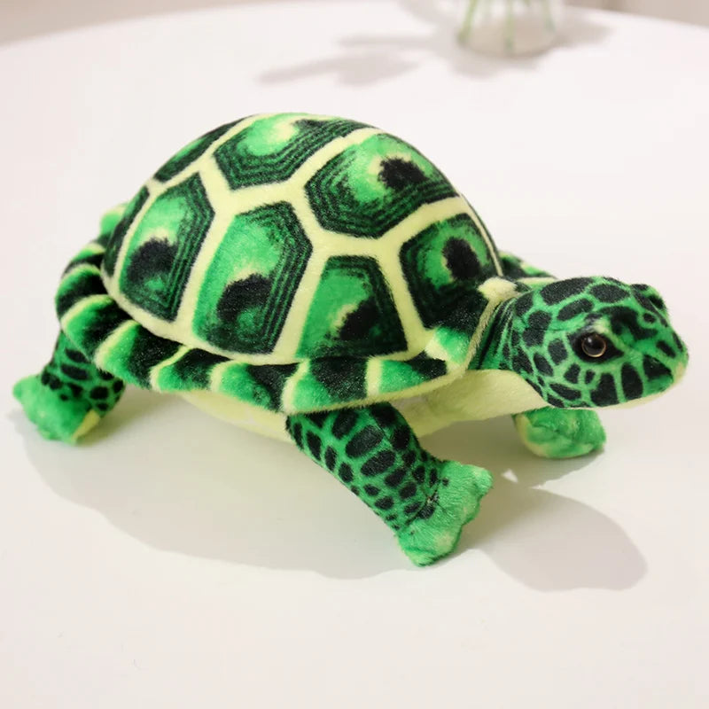 Peluche Tortue de Terre - Verte - vue 2