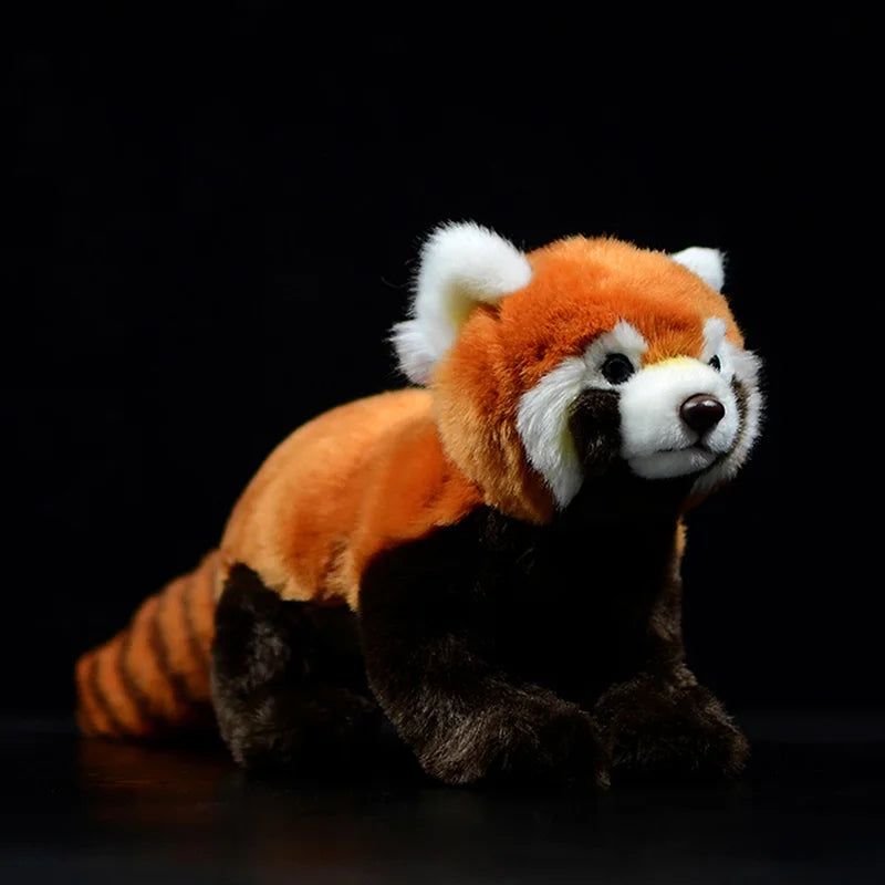 Peluche Panda Roux Réaliste - vue 2