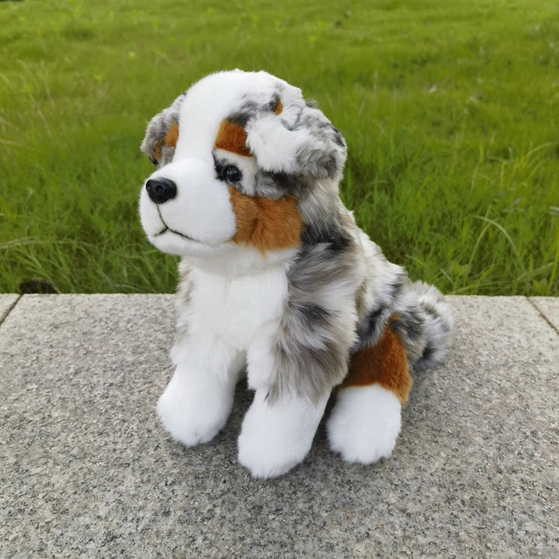 Peluche Berger Australien - vue 8