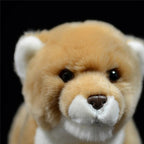 Petite Lionne Peluche - vue 5