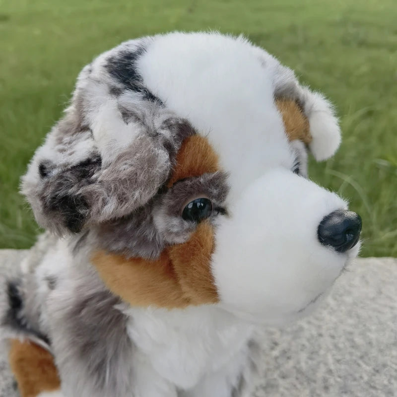 Peluche Berger Australien - vue 2