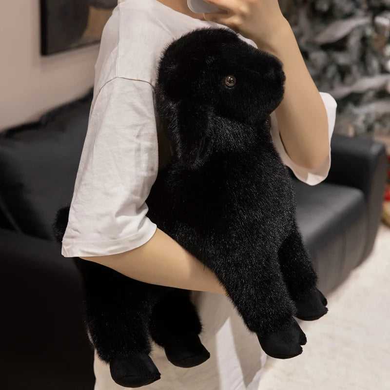 Peluche Agneau Réaliste - vue 5