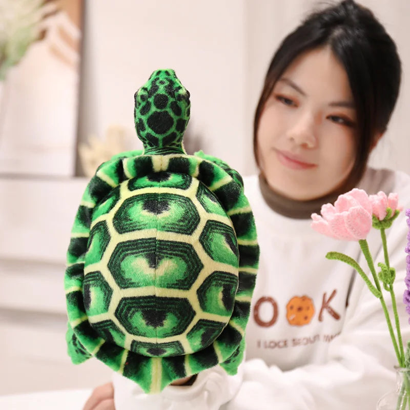 Peluche Tortue de Terre - Verte - vue 3