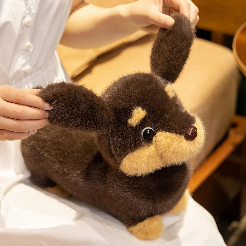 Peluche Teckel Nain - vue 3