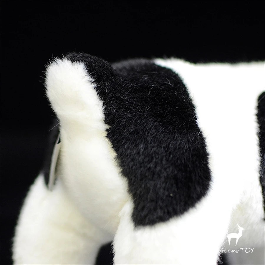 Bulldog Anglais Peluche - vue 5