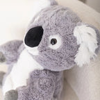 Peluche Koala 30 Cm - vue 5