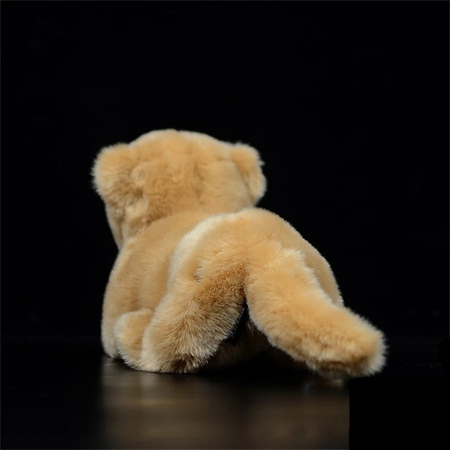 Petite Lionne Peluche - vue 4