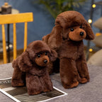 Peluche Caniche Marron - vue 5