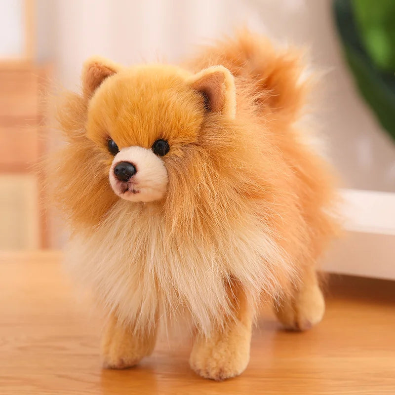 Peluche Loulou de Poméranie - vue 2