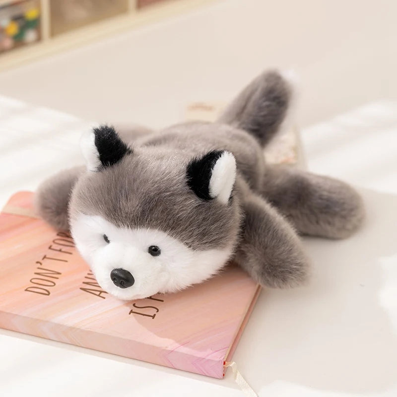 Mini Loup Peluche - vue 4