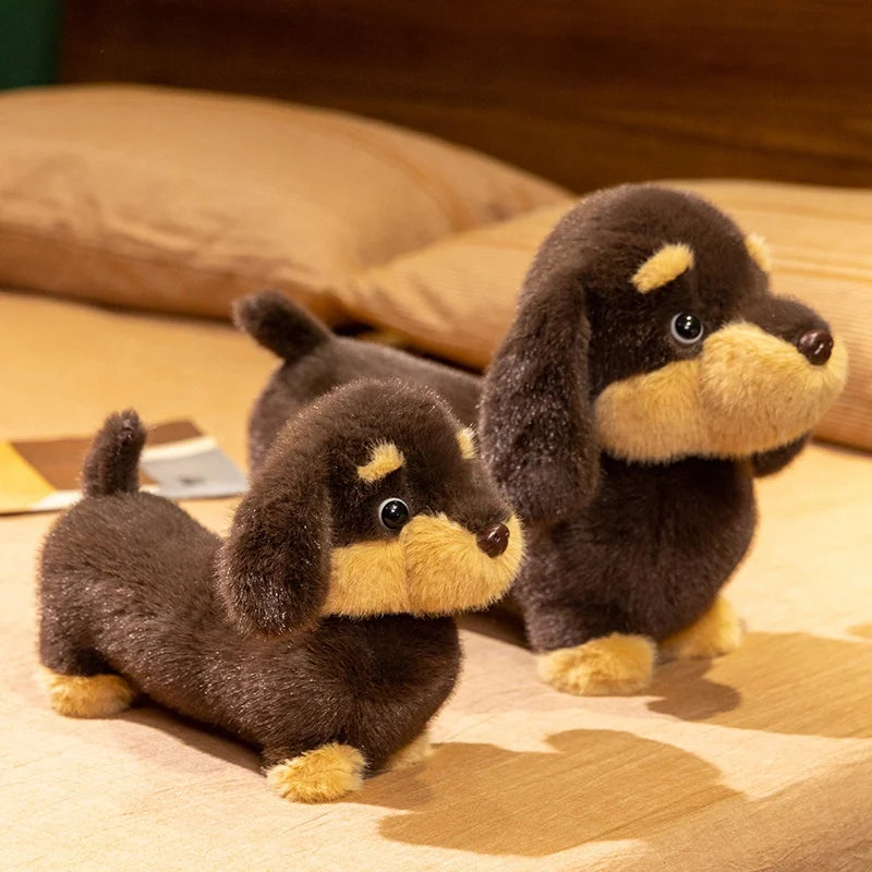 Peluche Teckel Nain - vue 4