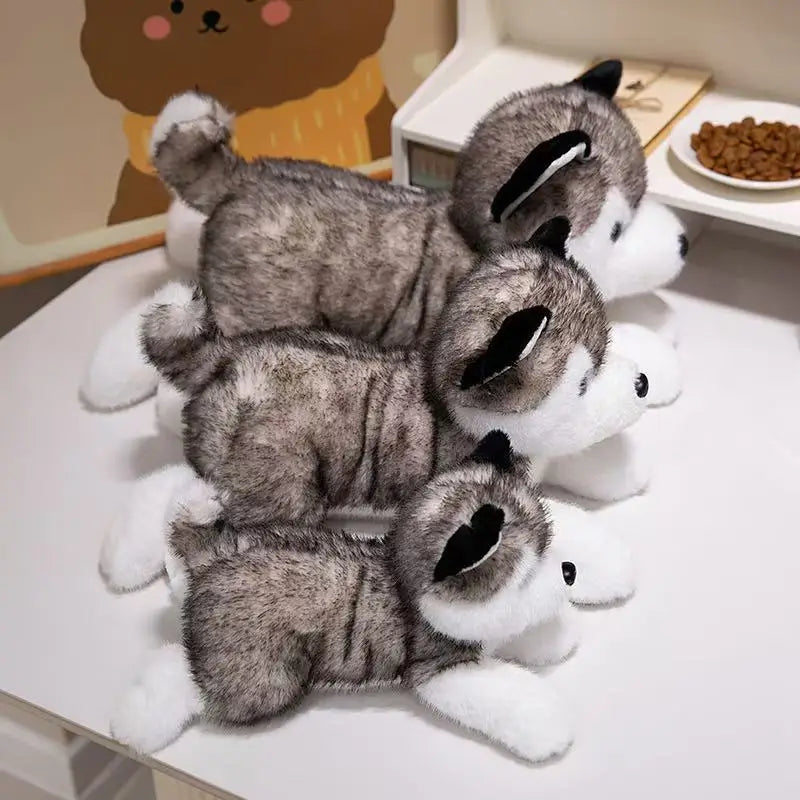 Peluche Husky Couché - vue 5