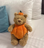 Peluche Ours Citrouille - vue 6