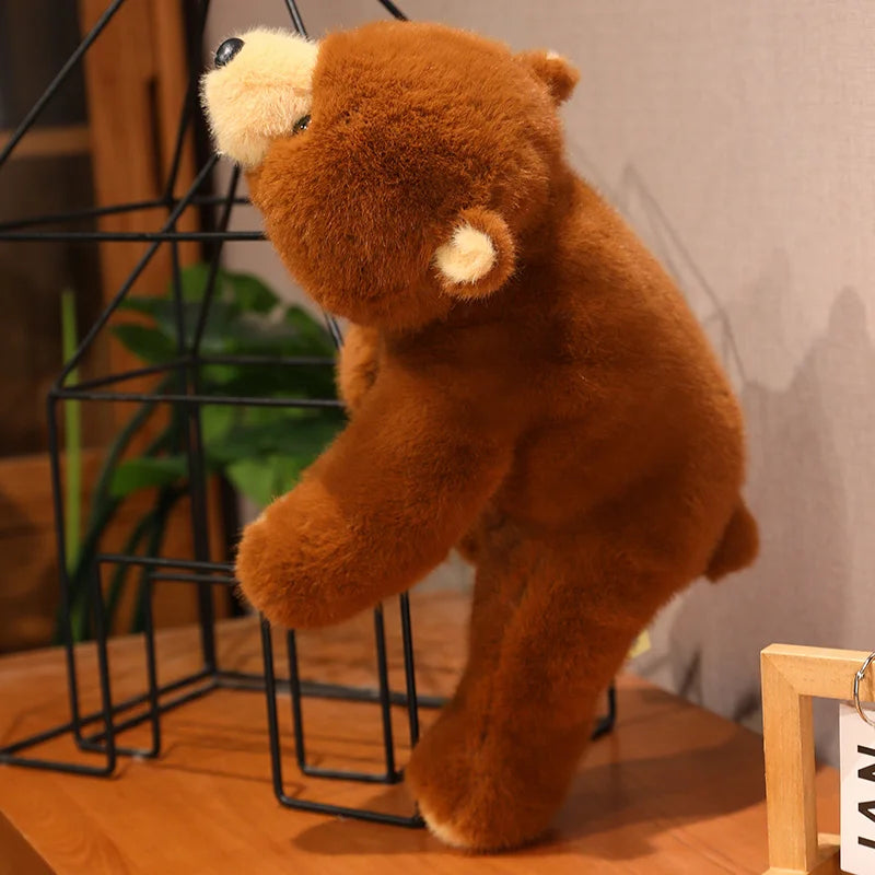Ours en Peluche Marron - vue 3